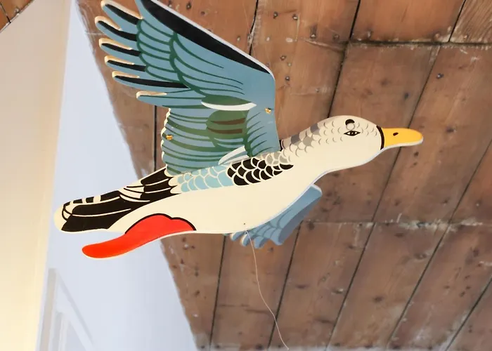 Hook's House Dom wakacyjny